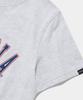 COLUMBIA UNIVERSITY Cu Arch Women Slim-Fit S/S T-Shirts_Light Melange Gray