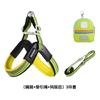 Puppy chest back leash Small and medium-sized dog V-shaped rainbow chest back set Adjustable soft pet dog supplies