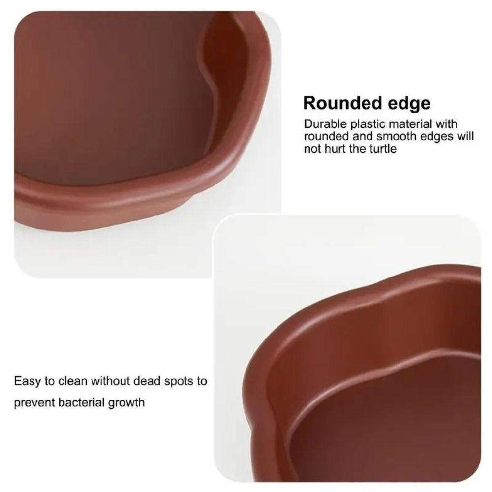 With Ramp Reptile Water Bowl Portable Tortoise Water Dish Turtle Feeding Dish  Scorpion
