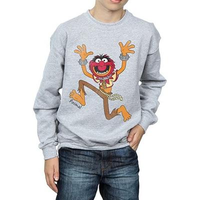 Boys Classic Animal Sweatshirt