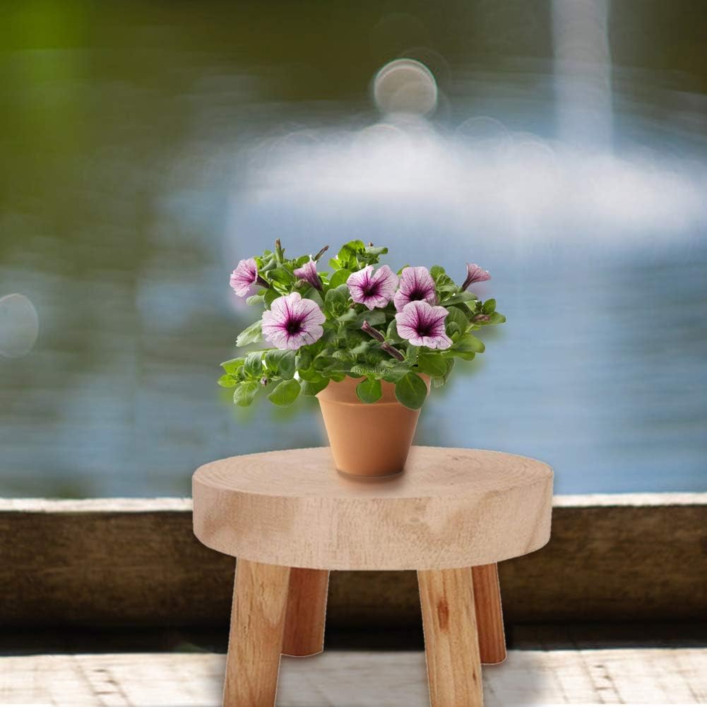 Mini Wooden Stool Display Stand, Flower Pot Stool Vintage Wood Grain Wooden Plant Stand for Indoor Outdoor Office Dining RoomDecor (A,S)