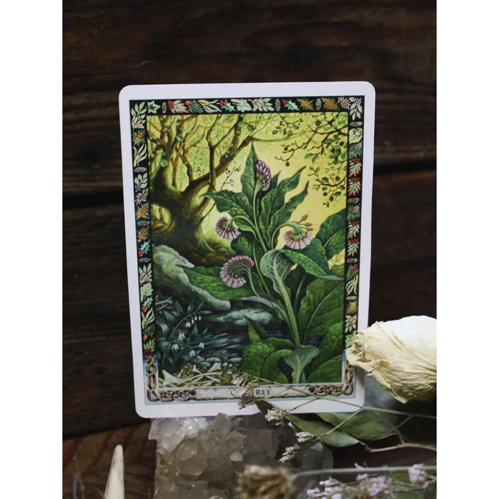 10.4*7.3cm Druid Bitki Oracle: Druid Geleneğinin Büyülü Florası ile Çalışmak 36 Adet Kart