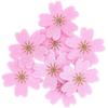Cherry Blossom Confetti - Gold and Dark Pink Felt