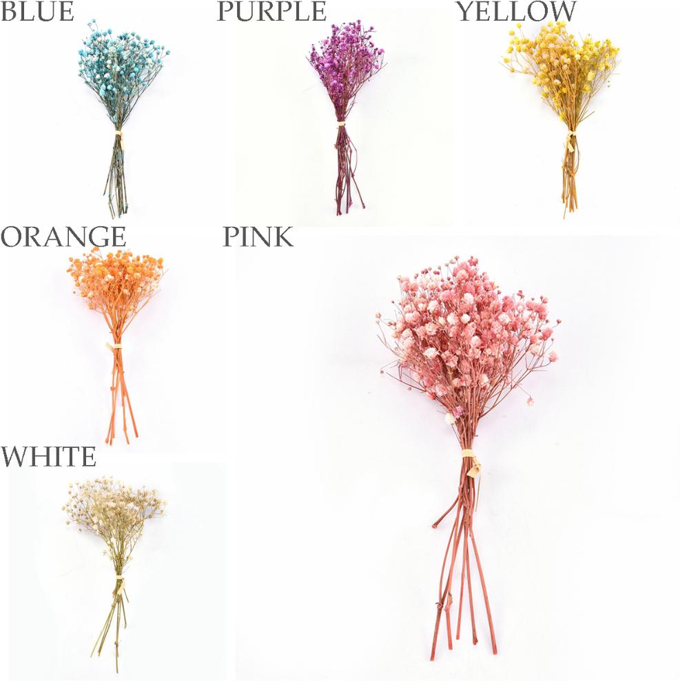 DIY Small Natural Photo Backdrop Pressed Gypsophila Babysbreath Bouquet Dry Flower Dried Flowers