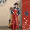 Empress Suit Hanfu Clothing Traditional Chinese Clothing Chinese Longuette  Women