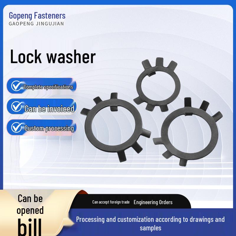 Six-Pronged Toothed Locking Retaining Washer GB858 Round Nut M10