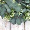 Silk Eucalyptus Wreath with Artificial Flowers and Greenery for Scene Decoration