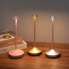 Creative Metal Table Lamp Touch Switch Decorative Desk Lamp New LED Desk Lamp  Home
