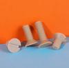 M2 M3 M4 M5 M6 M8 M10 M12 x4-50mm PEEK Nylon Schlitz Senkkopf Flachkopf Schrauben Bolzen Elektrizität Isolation Hohe Temperatur