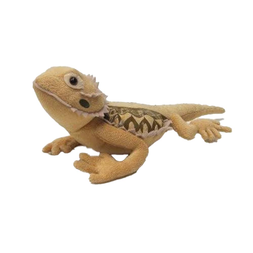 

Bearded dragon 32cm