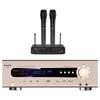 Accesorii audio și video – Amplificatoare