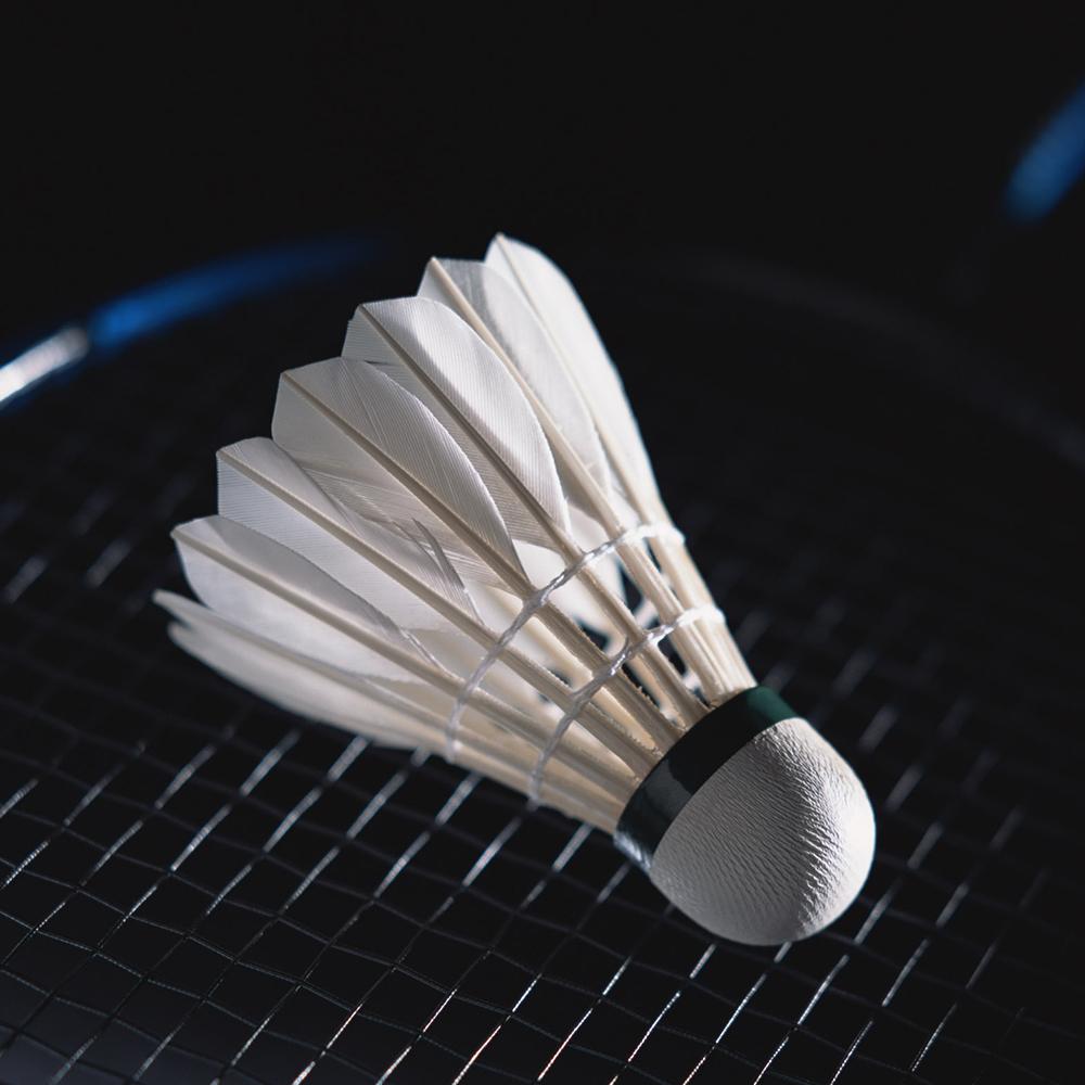 Sports Badminton 12 Pieces High Speed Goose Feather Badminton Stable And Durable Badminton Indoor And Outdoor Sports Badminton