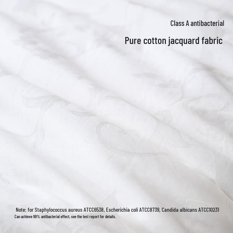 Jingdong Crafted Suzhou Double Cocoon Mulberry Silk Quilt
