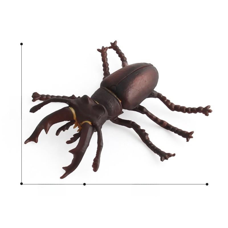 Allomyrina Dichotoma Model Pvc Realistic Display Scene For Science Education And Collectors