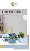 Cute Small Conch Succulent Plant Pots Conch Creative Ceramic Mini Mini Pots Desktop Shell Succulent Ceramic Planter