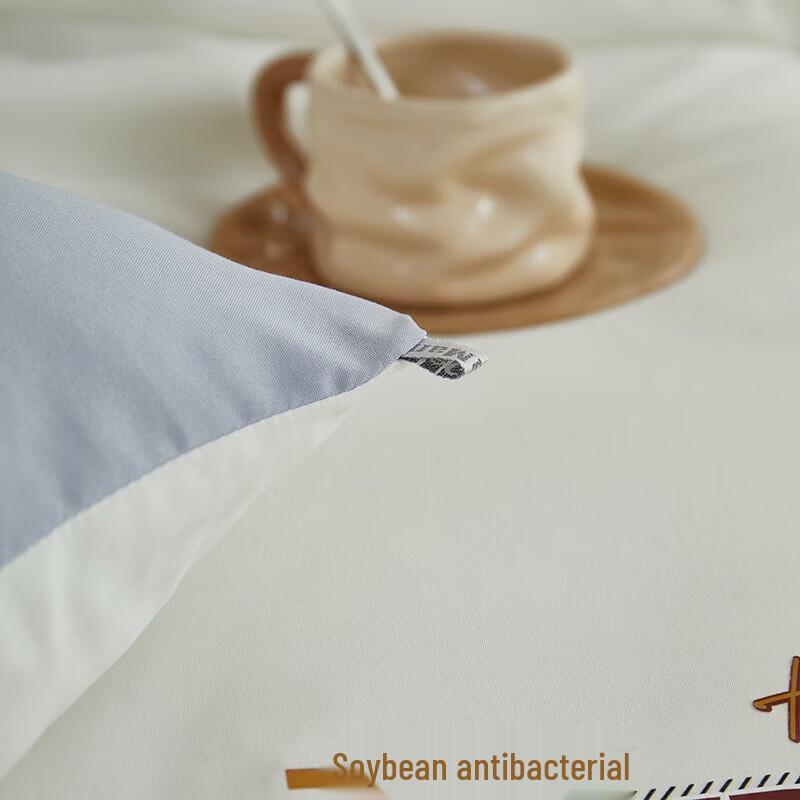 Bijiama Cloud-Feel Washed Cotton Winter Quilt