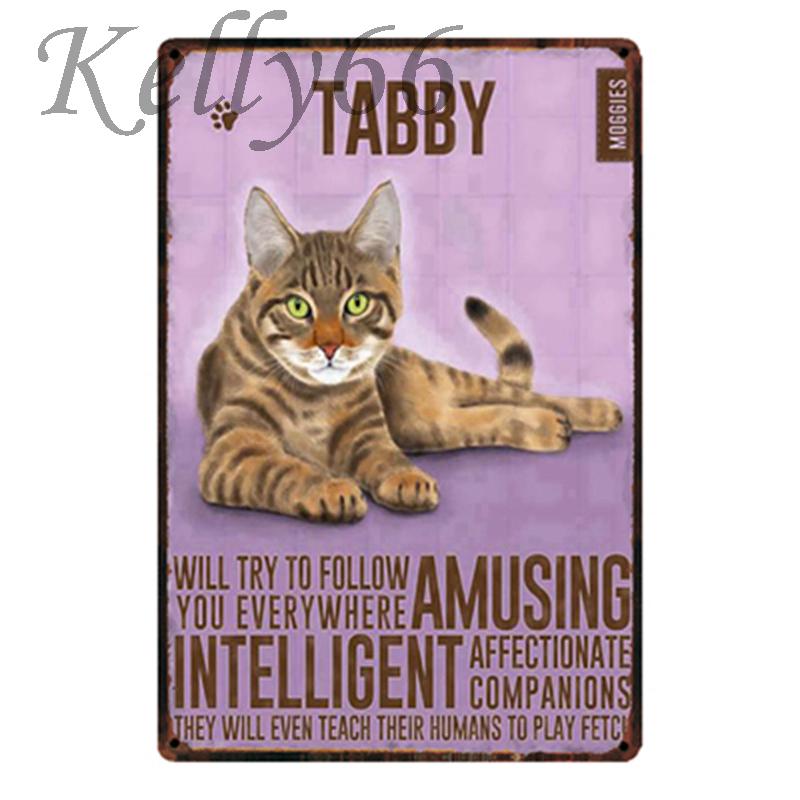 

[ Kelly66 ] Tabby CAT Metal Sign Tin Poster Home Decor Bar Wall Art Painting 20*30 CM Size y-1793