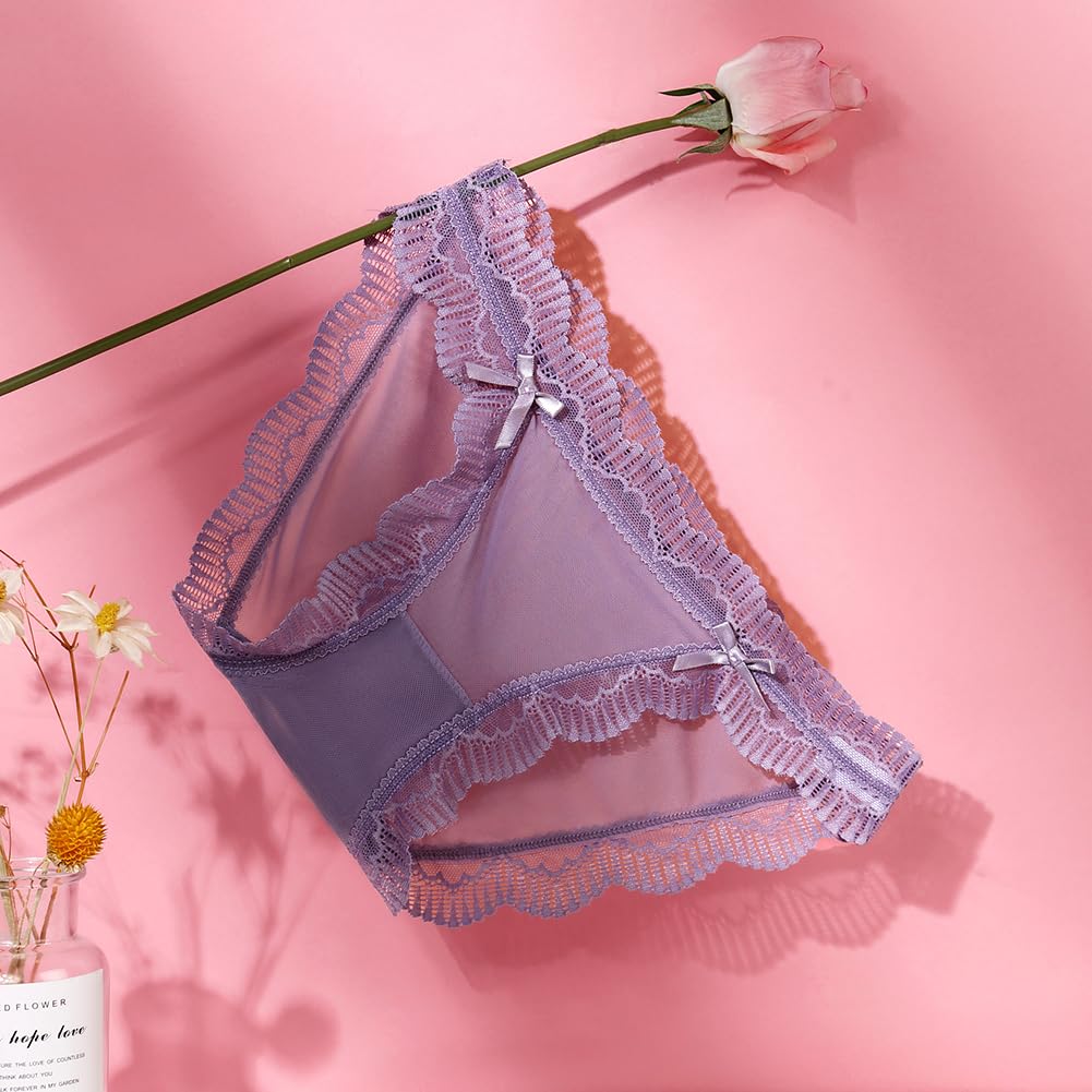 TUOTISI Cute Sheer Sexy Pack of 5 Women's Full-Back Panties, Underwear, Lace, See-Through Ribbon, Lingerie, Low-Waist Mesh, (Size M)