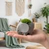 Succulent Planter 3D Printed Elephant Flowerpot Plastic Small Cactus Plant Holder  Home Office