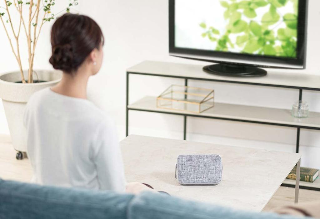 LITHON Audinsound TV Wireless Speaker SP-15 KABS-016A