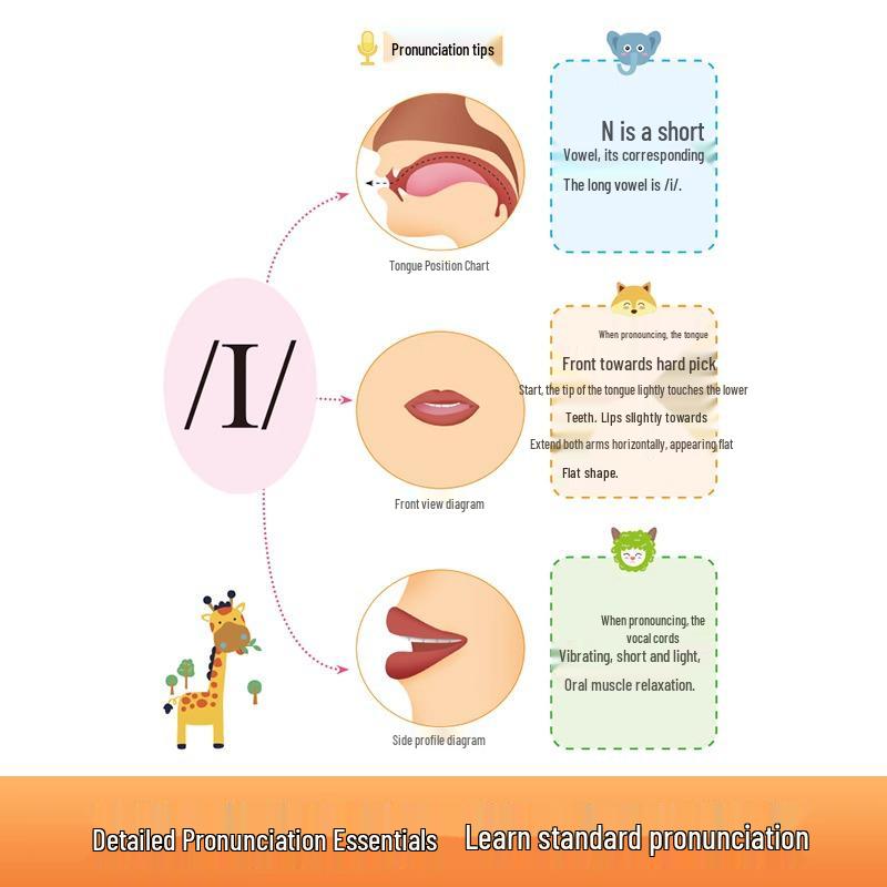 Children's Phonics & Phonetic Symbols: 2-Book Set for Quick English Word Memorization