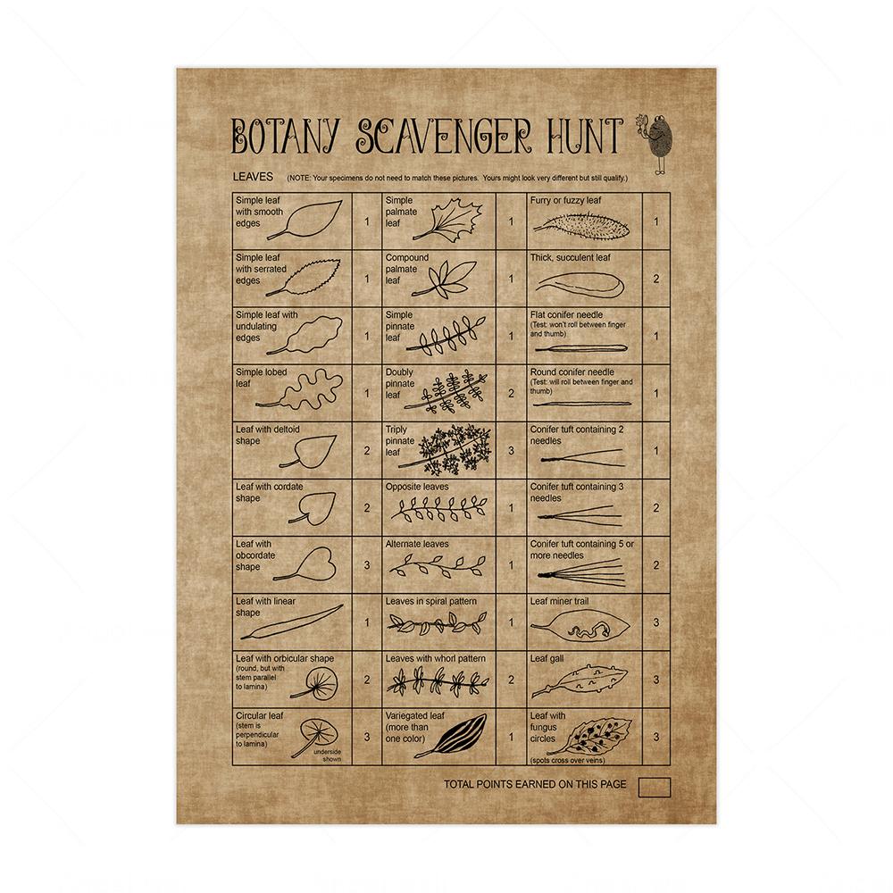 

Винтажные ботанические принты, принты с полевыми цветами, живописные постеры, ботаника, охота на мусор, настенные художественные принты, картина, холст, постер 21x30cm No Framed