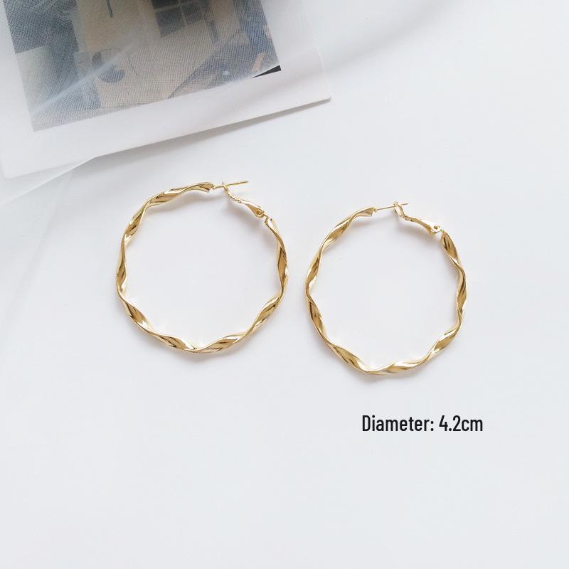 Braided Metal Hoop Earrings: Exaggerated European & American Fashion