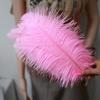 Ostrich Feathers 30-35Cm Wedding Road Guide Table Flower Ornament Ostrich Hair Decorative Clothing Accessories Diy
