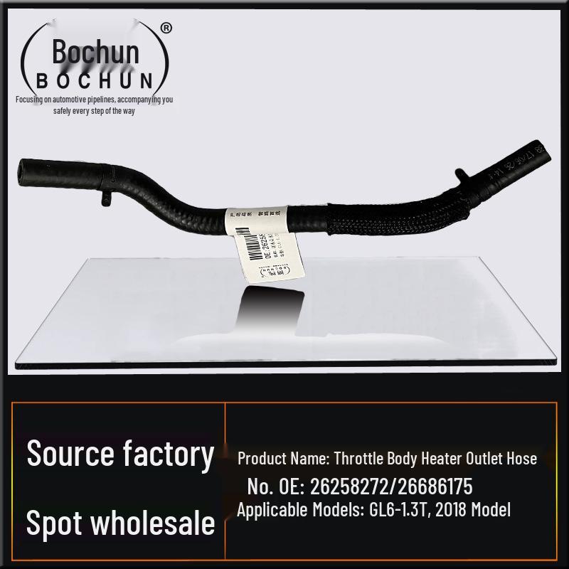 Buick GL6 Throttle Body Heater Hose and Coolant Expansion Tank Pipe