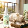 Gatos – Acessórios educativos para gatos