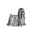 Yorkshire Terrier, Yorkie  - Silver-plated Dog Brooch, Elegant Pin, Jacket Lapel Decoration by Brand