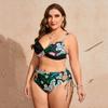 Women's Two-Piece Bikini Set Plus Size Split Swimsuit