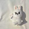 Staykids New Plush Magnetic Doll SKZ Cartoon Peripheral Plush Animal Kawaii Doll Plush Toy Children Adult Fan Gift
