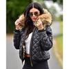 Autumn and Winter New Women's Cotton-padded Clothes Down Cotton-padded Clothes Short Hooded Women's Clothes Large-size Cotton-padded Clothes Jacket