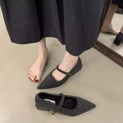 Retro temperament wollen puntige neus lichte mond dikke hak Mary Jane enkele schoenen 2025 nieuwe winter pluche veelzijdige wollen schoenen
