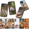 Phone Cover Hedgehog Fox Coque for Samsung Galaxy S25 S24 S22 S23 FE Ultra Plus A56 A05 A06 A15 A16 A55 S7 Edge Case