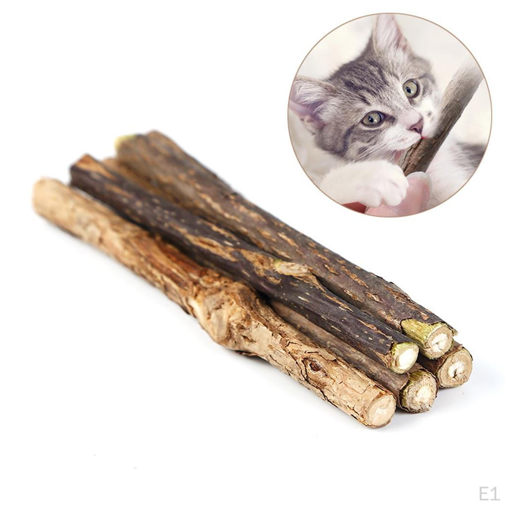 5x Catnip Stick Toothpaste Actinidia Polygama Treat Molar Snack for Cleaning Kitty