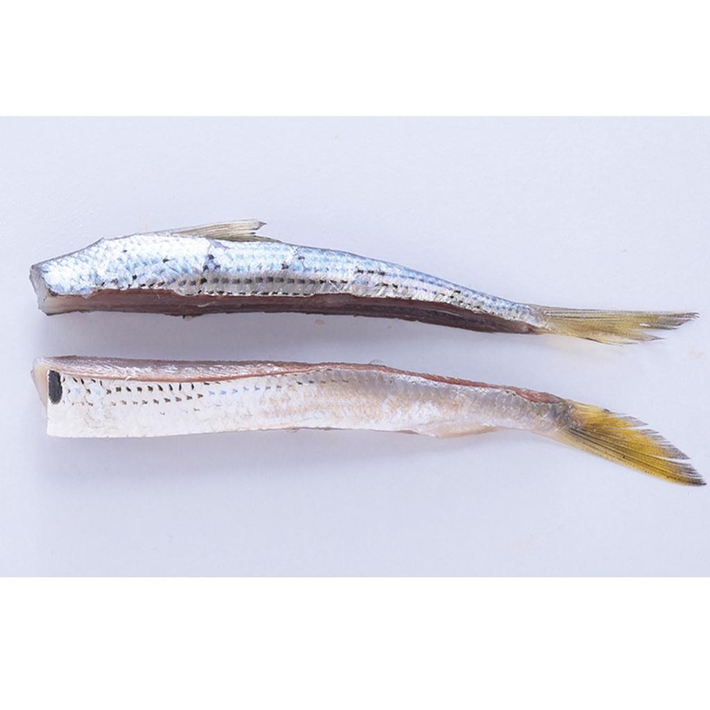 fishing Hamaichi Konoshiro cut x 2 piece set <Frozen bait> [HAMAICHI] fisherman's (raw type) [Frozen]
