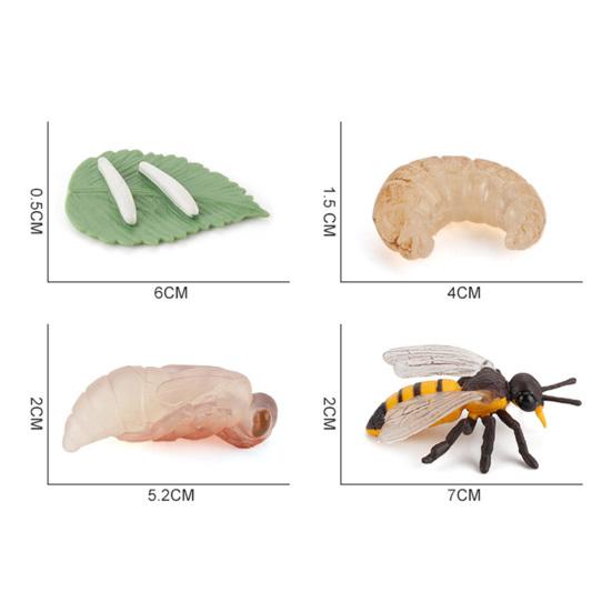 4Pcs/5Pcs Frog Tarantula Butterfly Bee Animal Growth Observation Model Toys