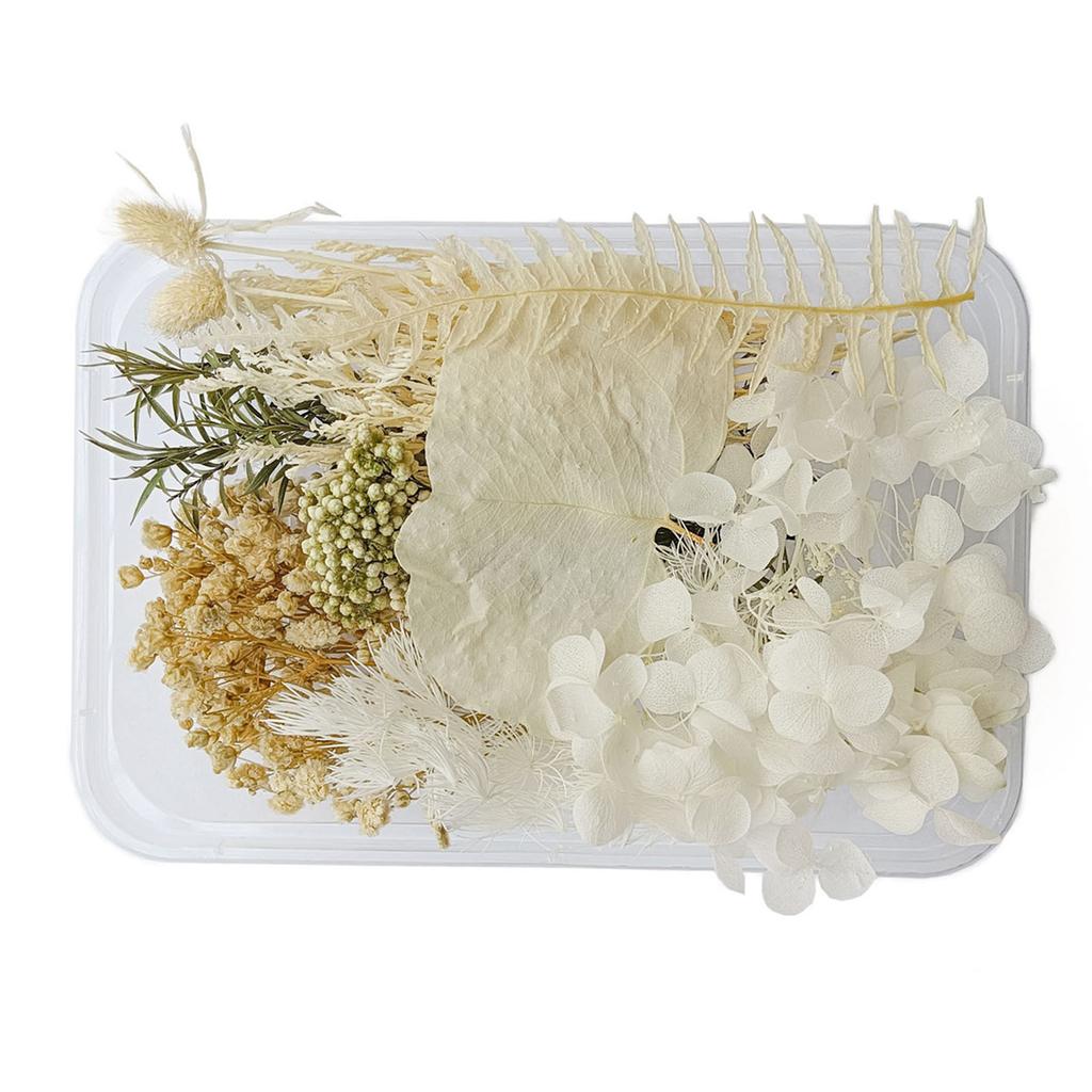 Getrocknete Blumen, exquisite, schöne, umweltfreundliche, farbige Trockenblumen für die Heimdekoration