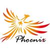 Phoenix Guitar Capo 3-Piece Set Care Fiber Cloth Safe Secure Folk Electric Acoustic Black