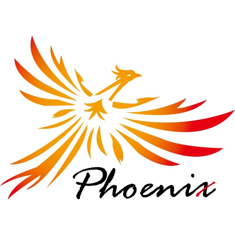 Phoenix Guitar Capo 3-Piece Set Care Fiber Cloth Safe Secure Folk Electric Acoustic Black