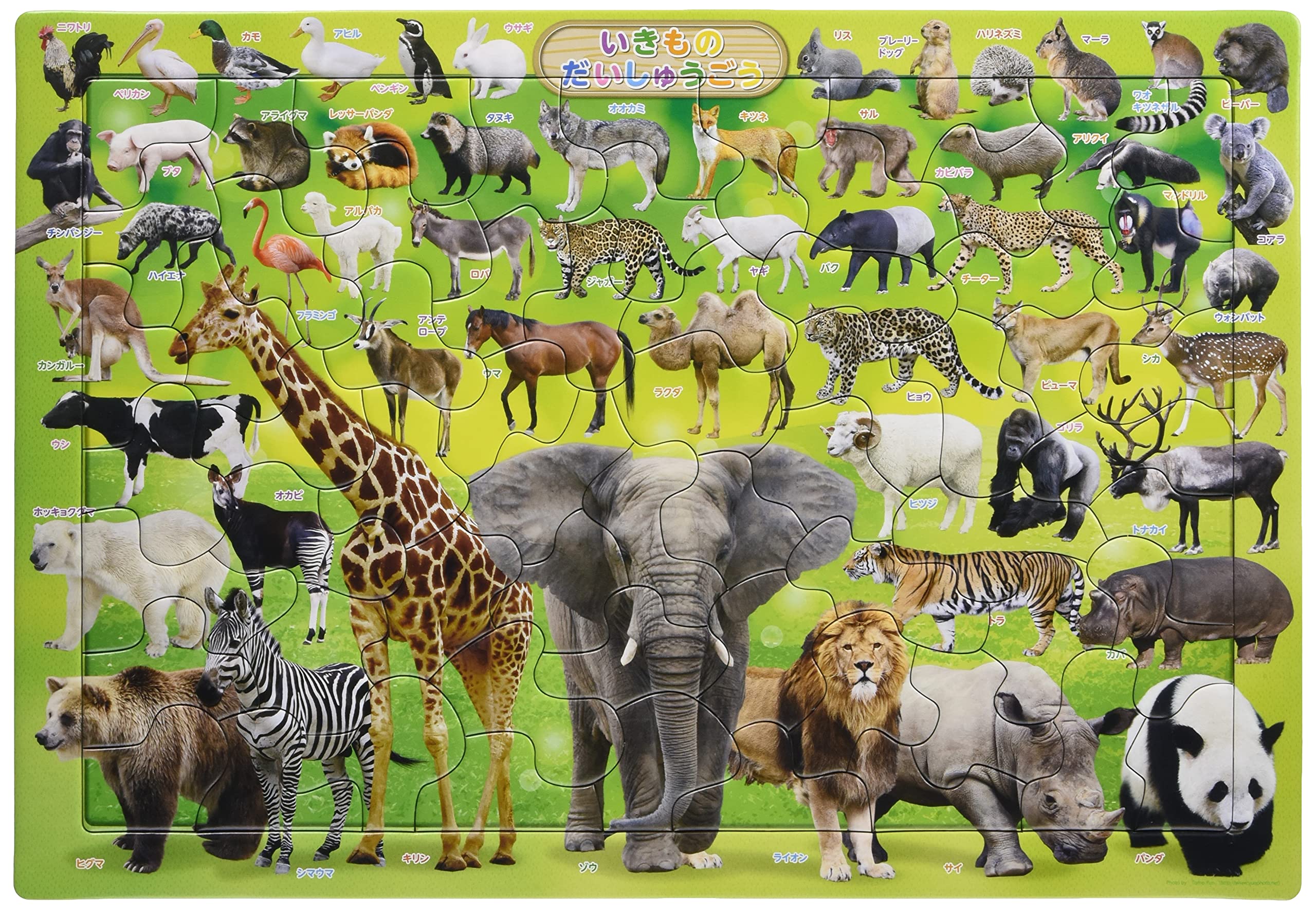 

Picture Living Things 63 Piece Puzzle for Children [Apollo Puzzle] 25-107