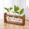 Wood & Glass Hydroponic Bottle - Simple Modern Home Decor