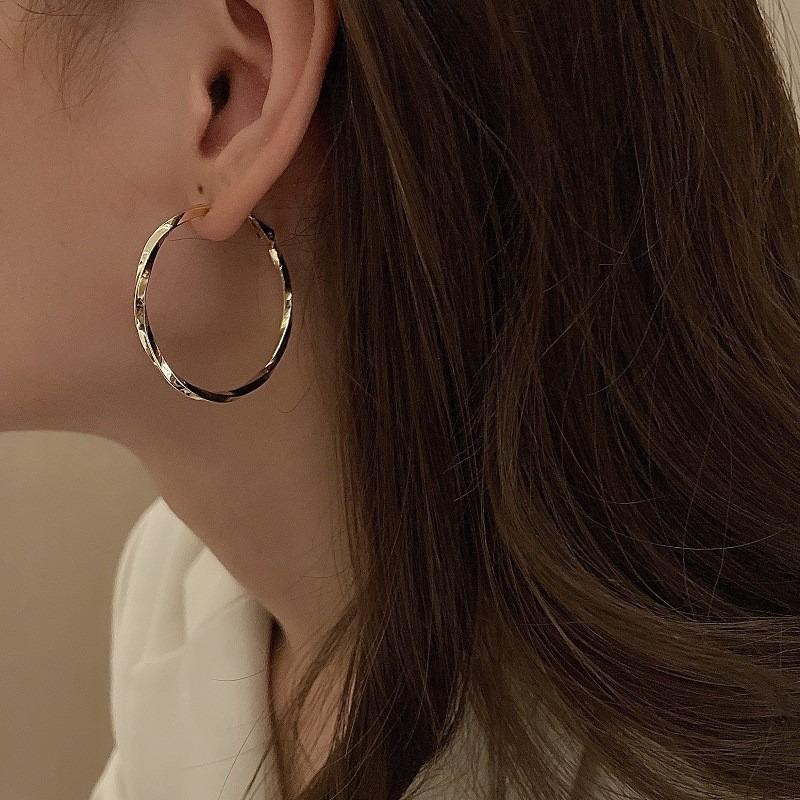 Silver Needle Autumn and Winter Metal Earrings Earrings Niche Fashion Cold Wind Earrings Versatile Light Luxury Premium Earrings