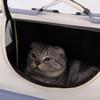 Creative Travel Puppy Bags Breathable Cat Carrying Bag Pet Backpack Carrier  Cat Supplies