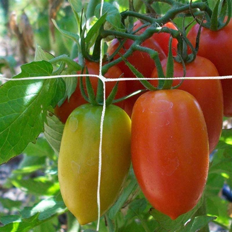 Plant Trellis Netting Heavy-Duty Plant Support Vine Climbing Hydroponics Garden Net Accessories Gardening Bracket Climbing Nets