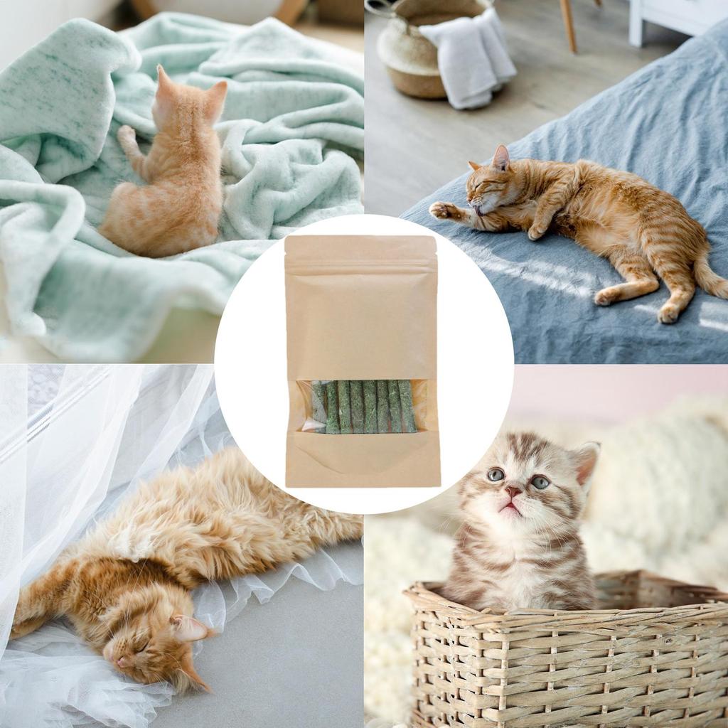 Cat Grass Sticks Natural Pet Grass Snacks Molar Rod Catnip Toys Cat Kitten Hairball Removal Pet cat grass stick