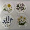 4Pcs Acrylic Dried Flower Coaster Heat-Resistant Waterproof Cup Mat Transparent Non-Slip