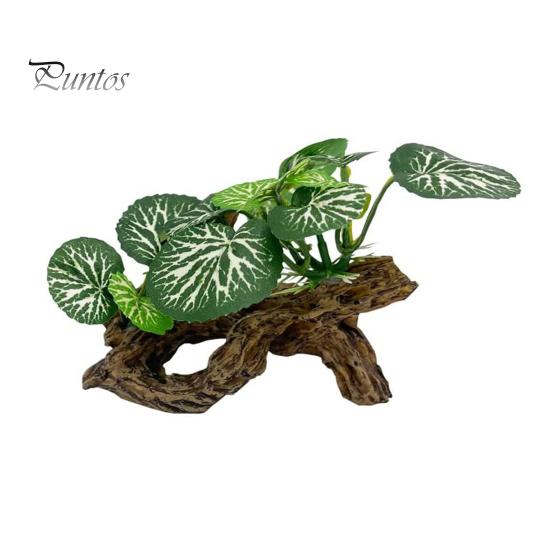 

Украшение для аквариума, искусственное растение, украшение для аквариума, аксессуар для аквариума, водный декор для рыбок-бетта, маленьких рептилий зелёный